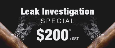 Leak Investigation Discount Penrose